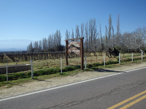 Lampacito Bodega.